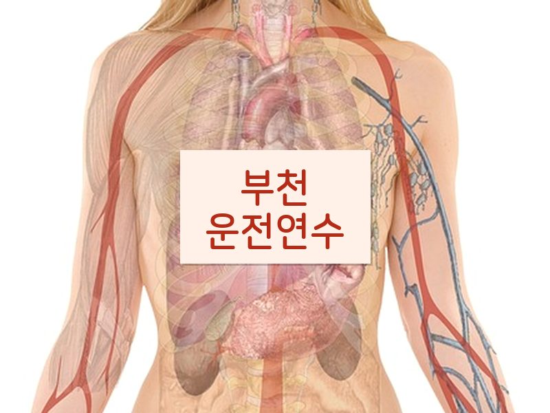 부천운전연수 후기