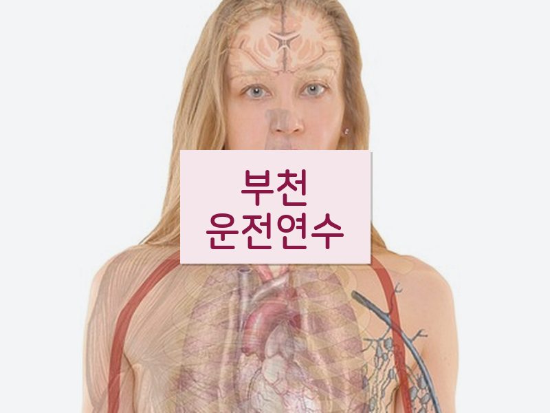 부천운전연수 후기
