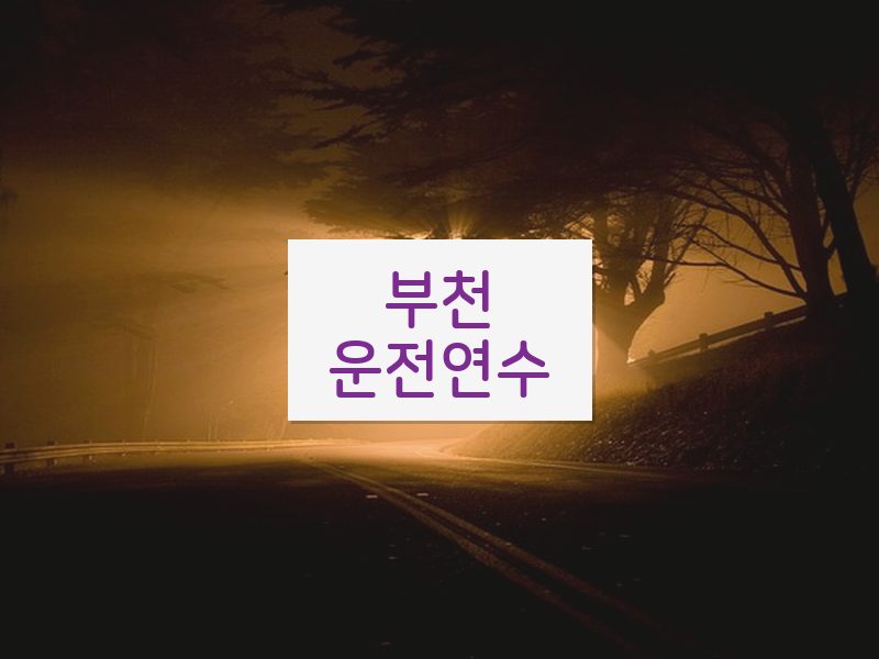 부천운전연수 후기
