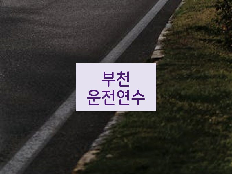 부천운전연수 후기