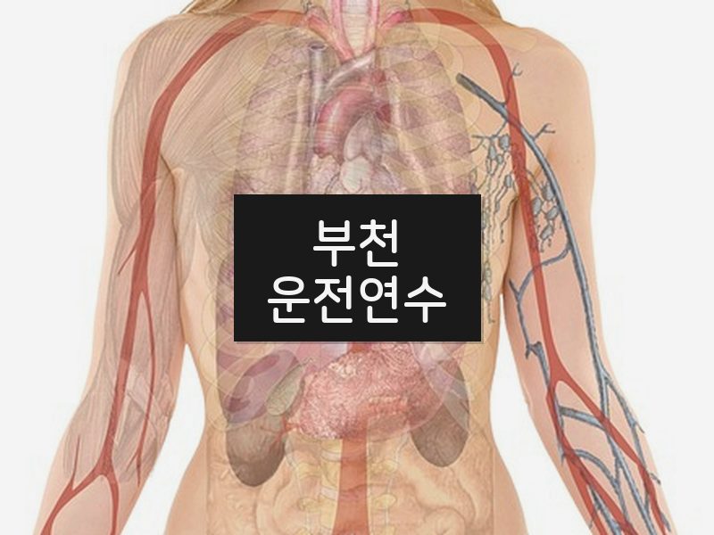 부천운전연수 후기