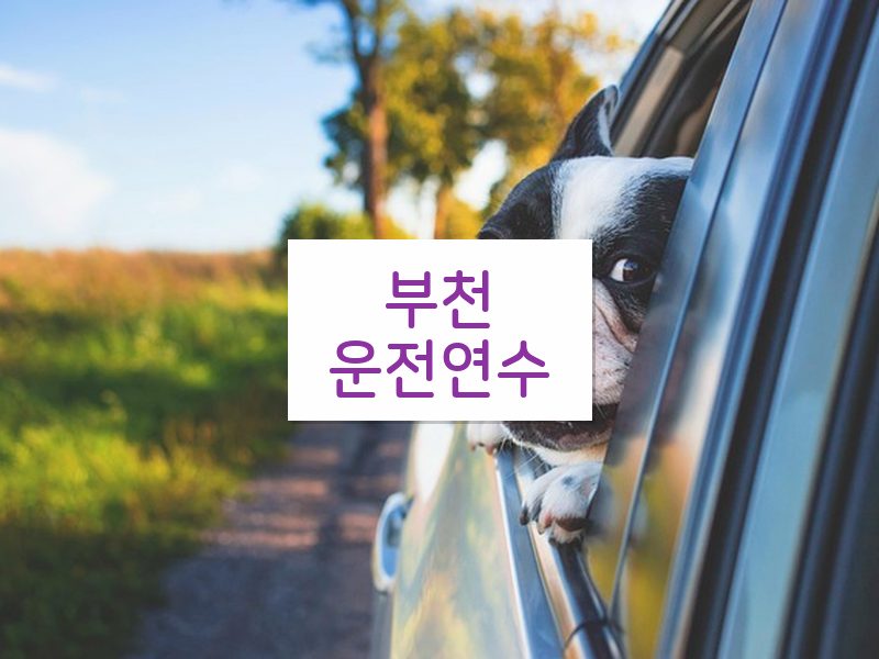 부천운전연수 후기