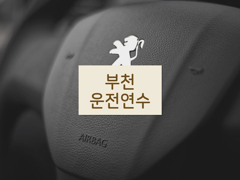 부천운전연수 후기