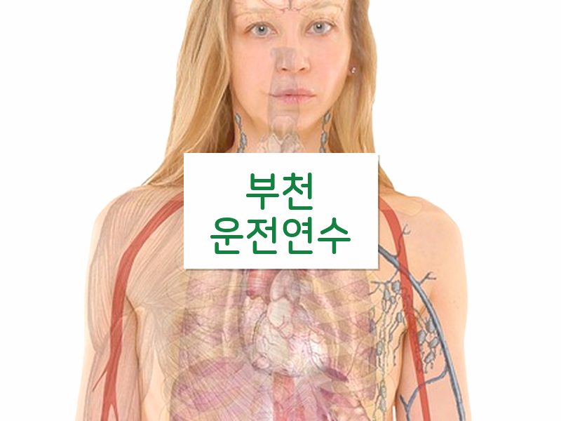 부천운전연수 후기