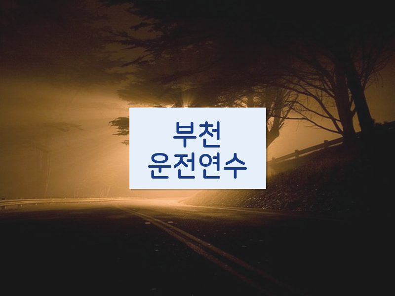 부천운전연수 후기