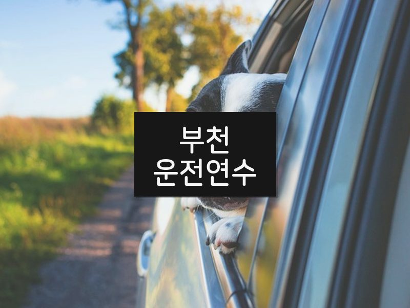 부천운전연수 후기