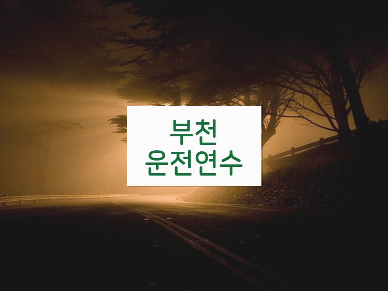 부천운전연수 후기