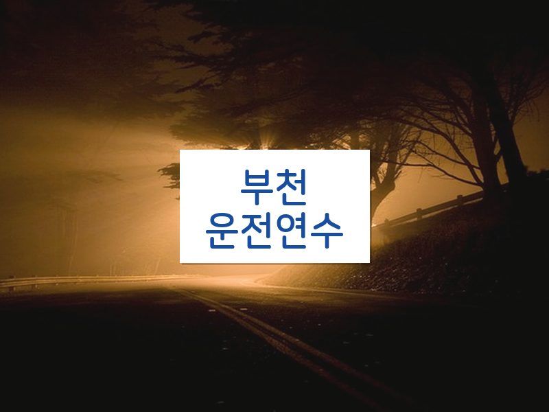 부천운전연수 후기