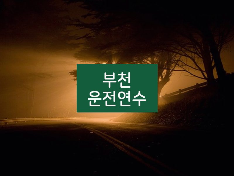 부천운전연수 후기