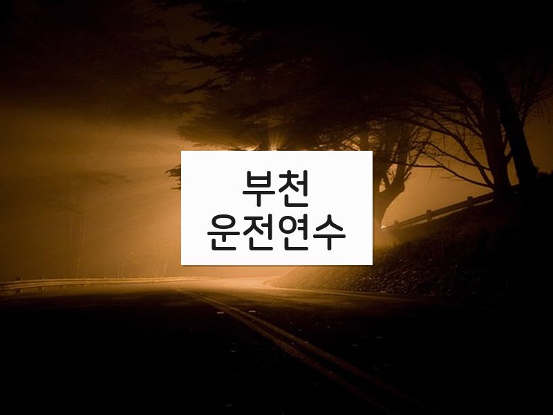 부천운전연수 후기