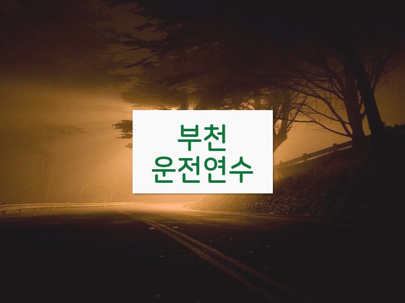 부천운전연수 후기