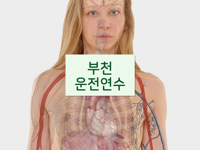 부천운전연수 후기