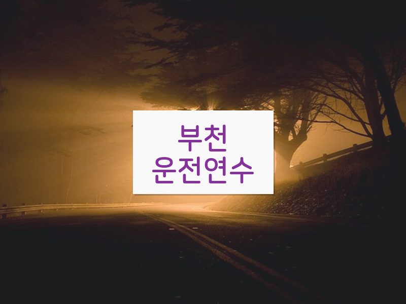 부천운전연수 후기