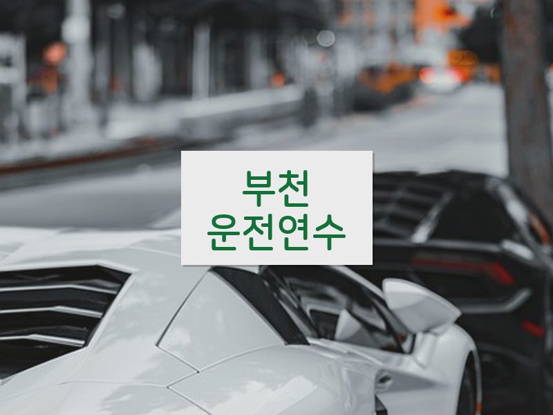 부천운전연수 후기