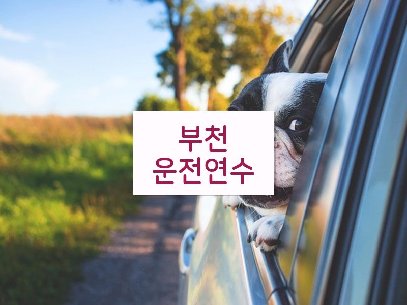 부천운전연수 후기