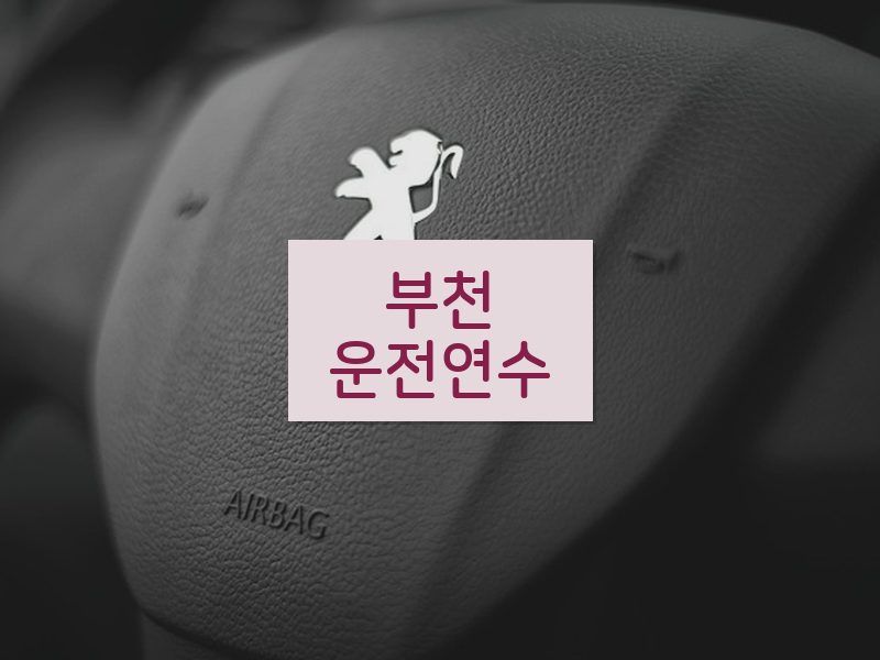 부천운전연수 후기