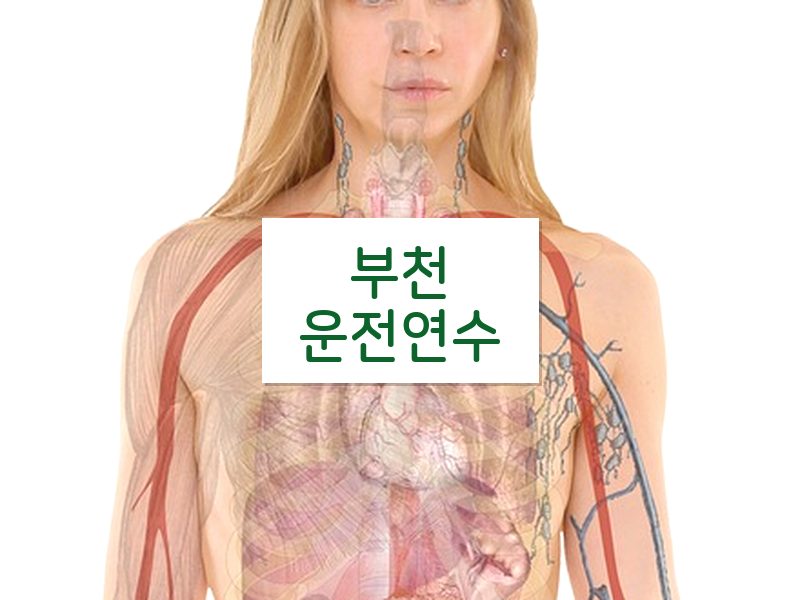 부천운전연수 후기