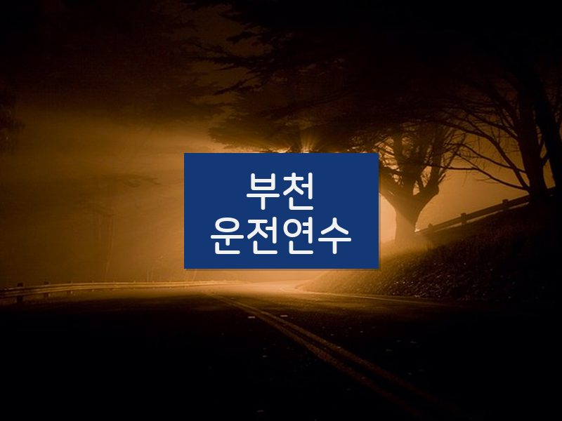 부천운전연수 후기
