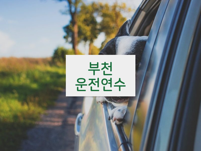 부천운전연수 후기