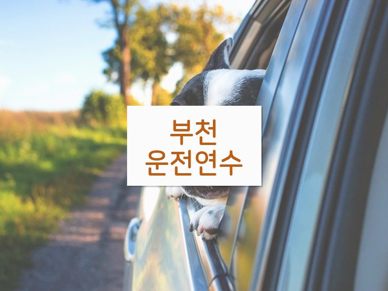 부천운전연수 후기