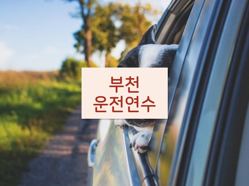 부천운전연수 후기