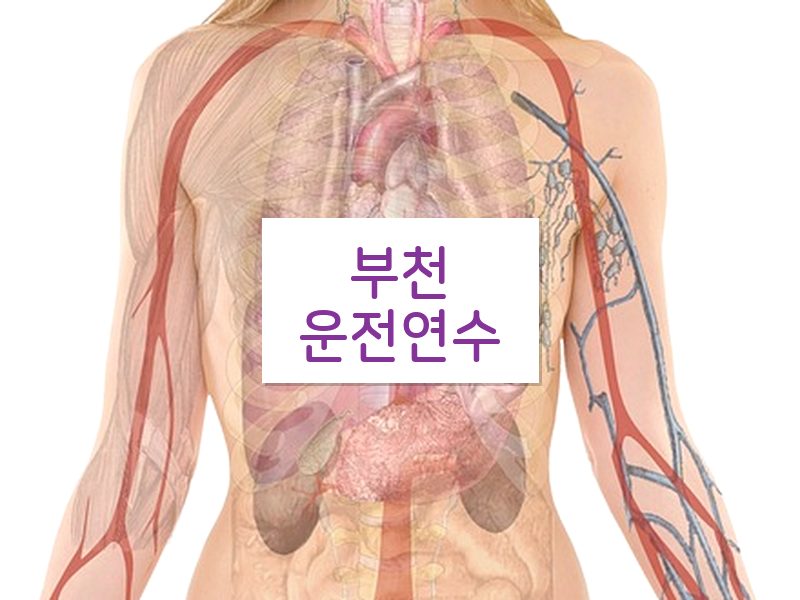 부천운전연수 후기