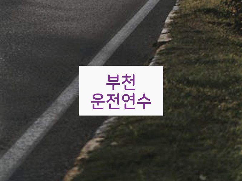 부천운전연수 후기