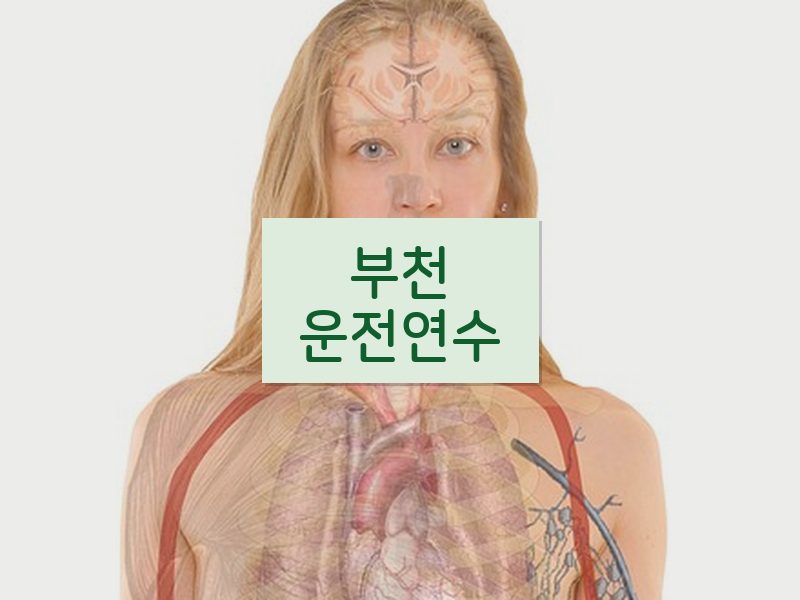 부천운전연수 후기