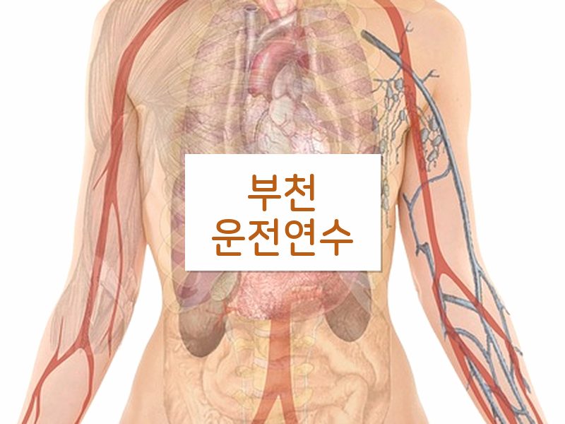 부천운전연수 후기