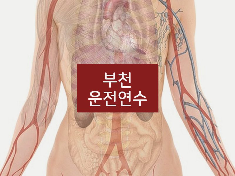 부천운전연수 후기