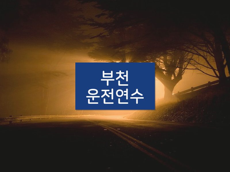 부천운전연수 후기