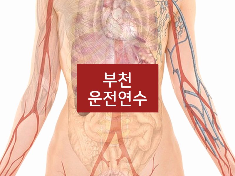 부천운전연수 후기
