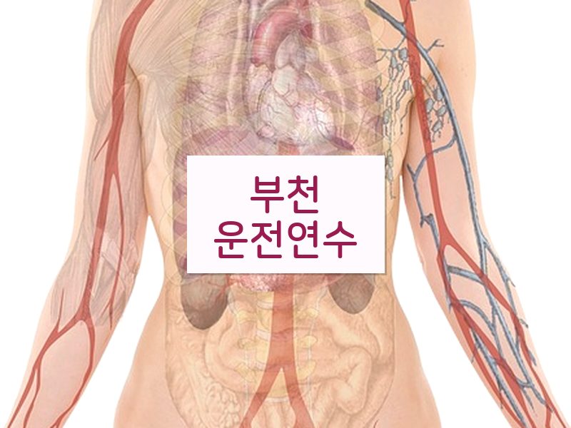 부천운전연수 후기