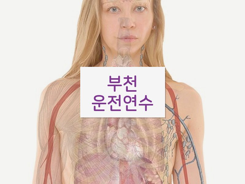 부천운전연수 후기