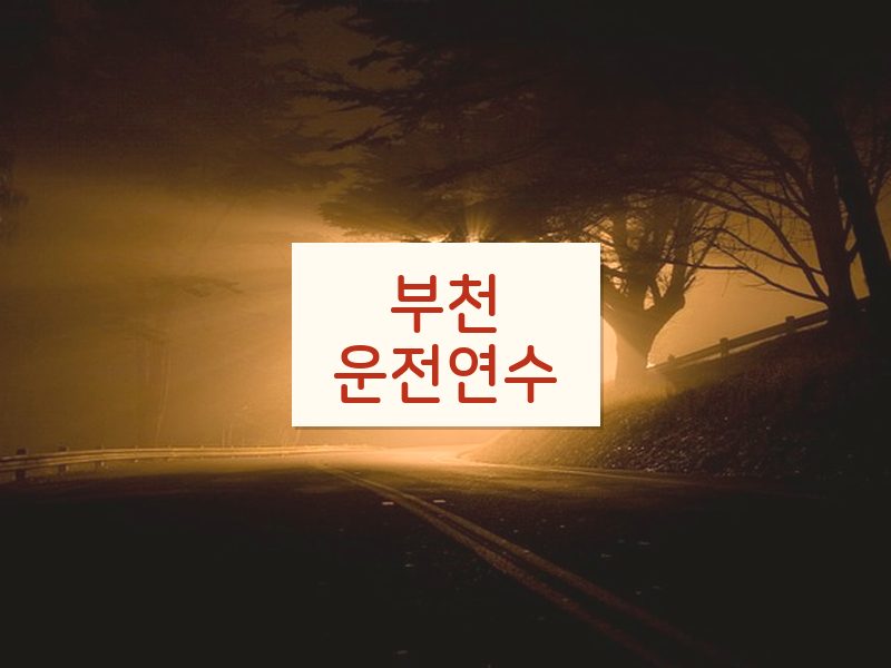 부천운전연수 후기