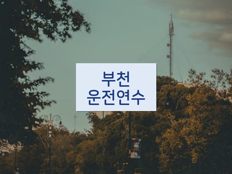 부천운전연수 후기
