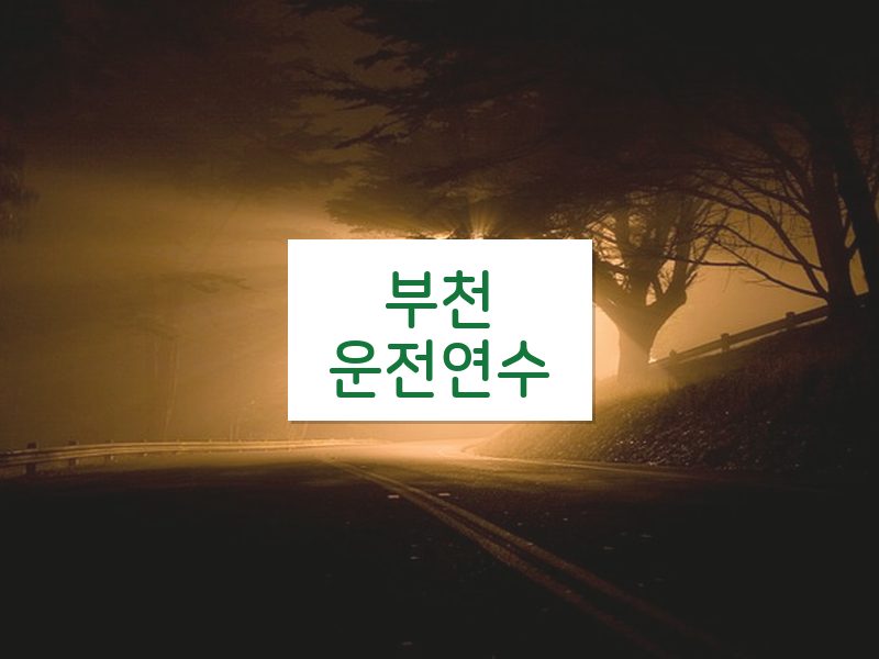 부천운전연수 후기