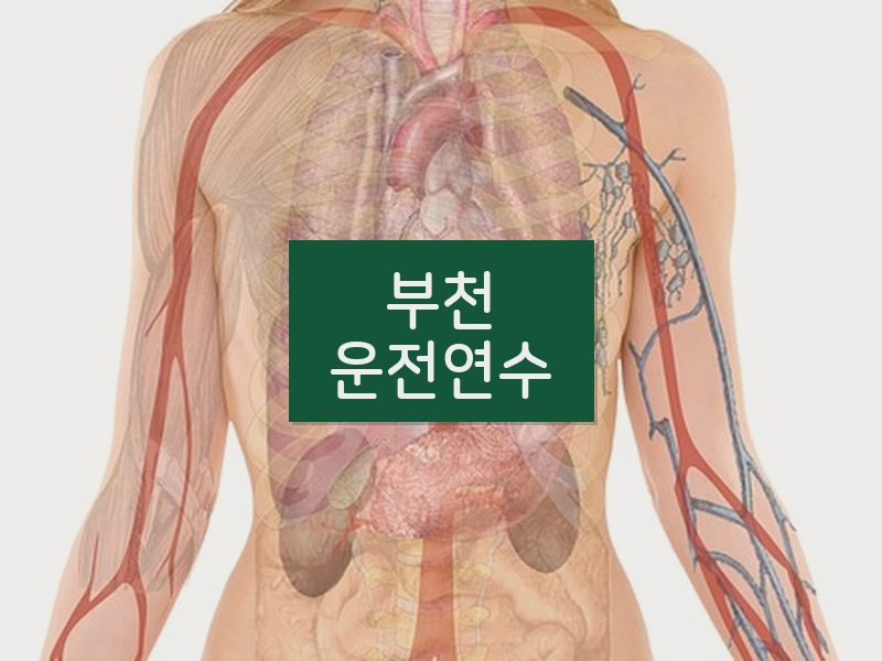 부천운전연수 후기