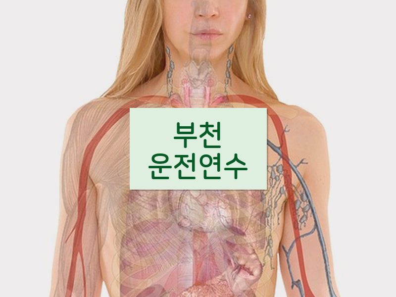 부천운전연수 후기