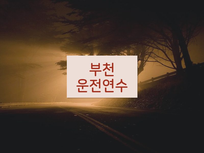 부천운전연수 후기