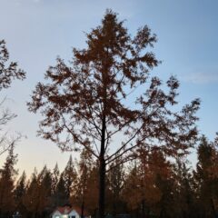 의정부운전연수 수강료 얼마였는지 공개