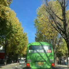 부천운전연수 덕분에 운전 시작했어요