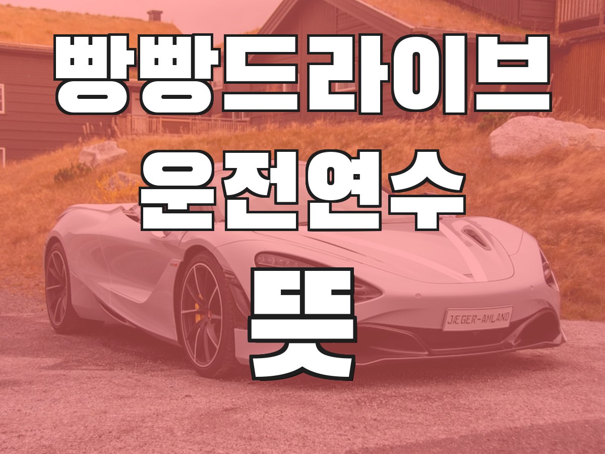 빵빵드라이브 운전연수 뜻 - 운전연수의 의미와 필요성