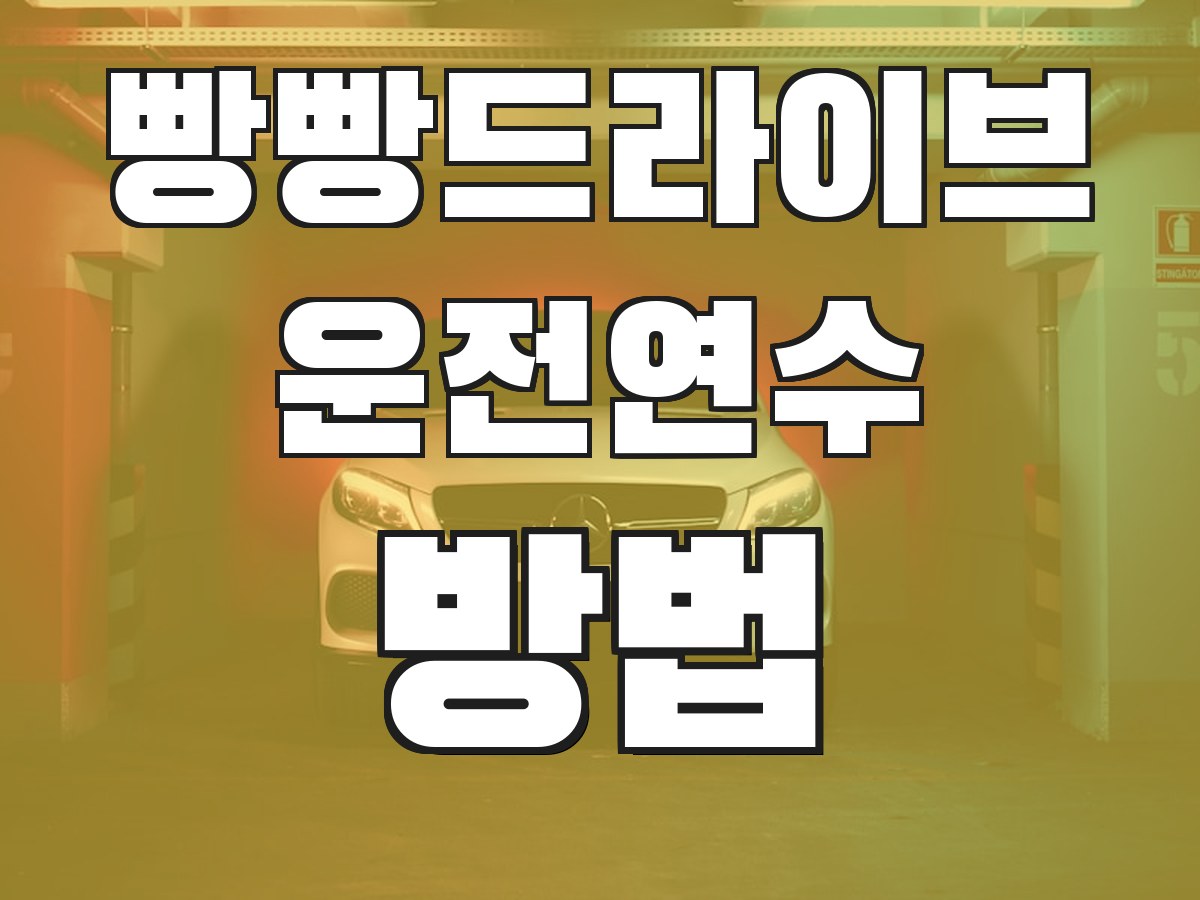 빵빵드라이브 운전연수 방법 - 연수 진행 과정 안내
