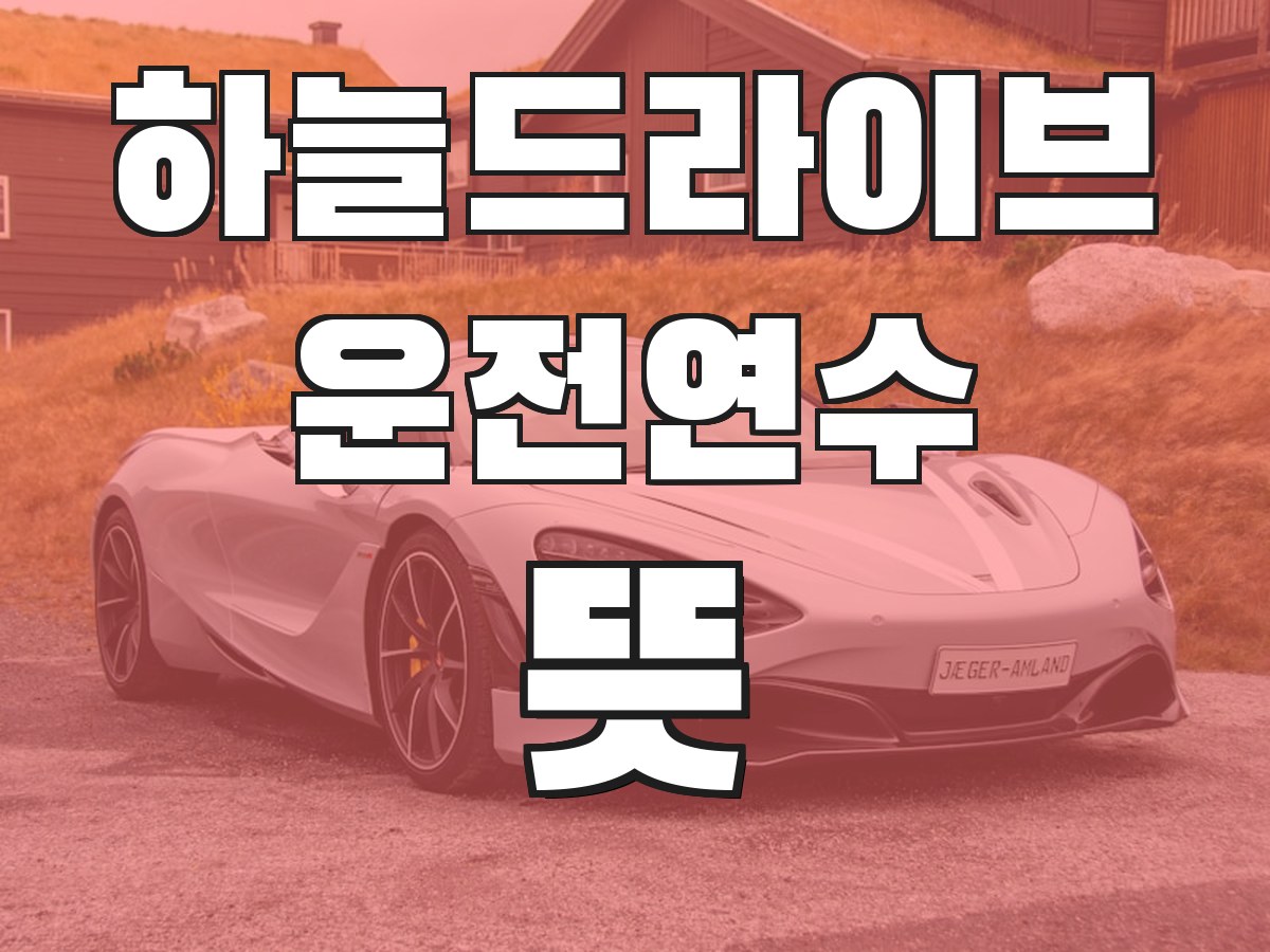 하늘드라이브 운전연수 뜻 - 운전연수의 의미와 필요성