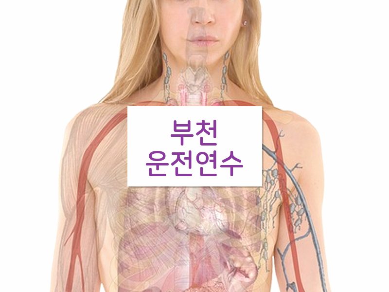 부천운전연수 후기
