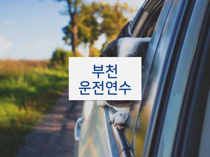 부천운전연수 후기